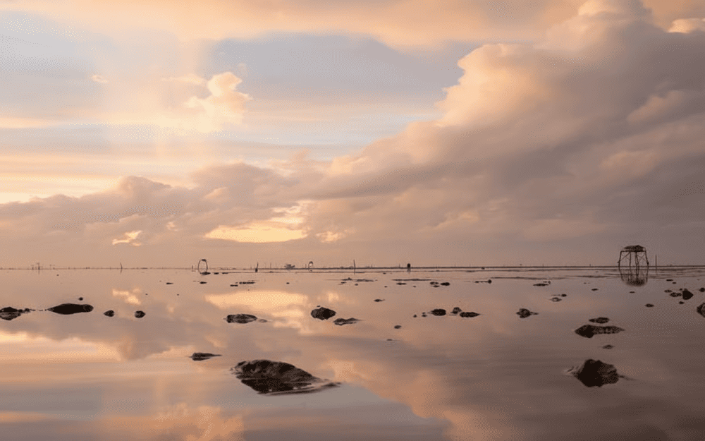 Thước ảnh đầy nghệ thuật chụp tại biển T&acirc;n Th&agrave;nh